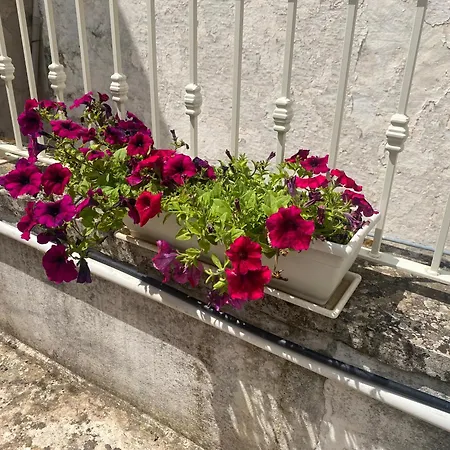 Porta Blu Apulia * Мартина-Франка