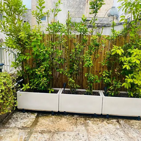 Porta Blu Apulia Appartement